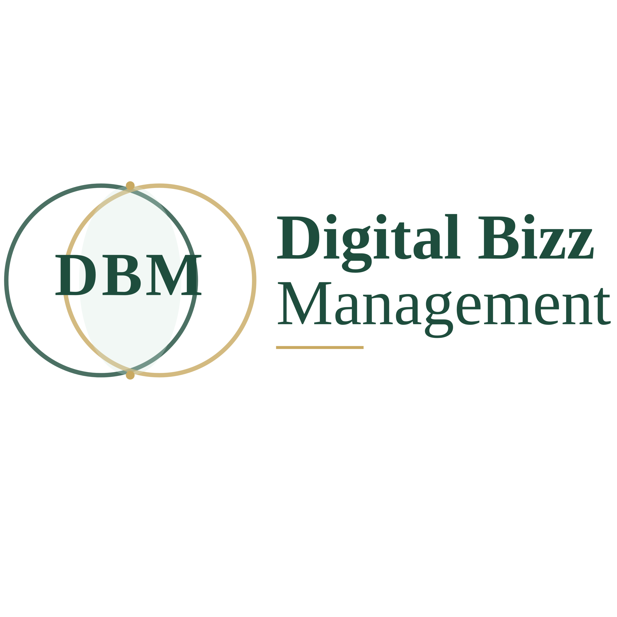 Insight by Digital Bizz Management